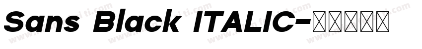 Sans Black ITALIC字体转换